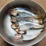 Sardines: the Superfood That Can Extend Your Dog’s Life