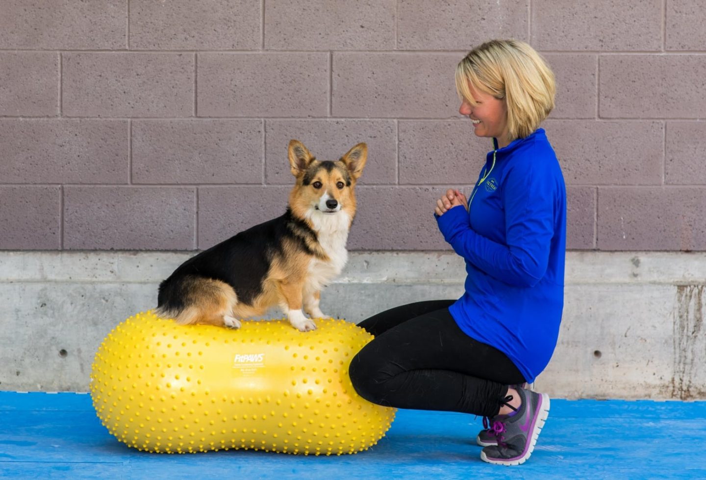 The Secret Power of Canine Fitness