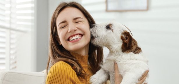 Animal Therapy