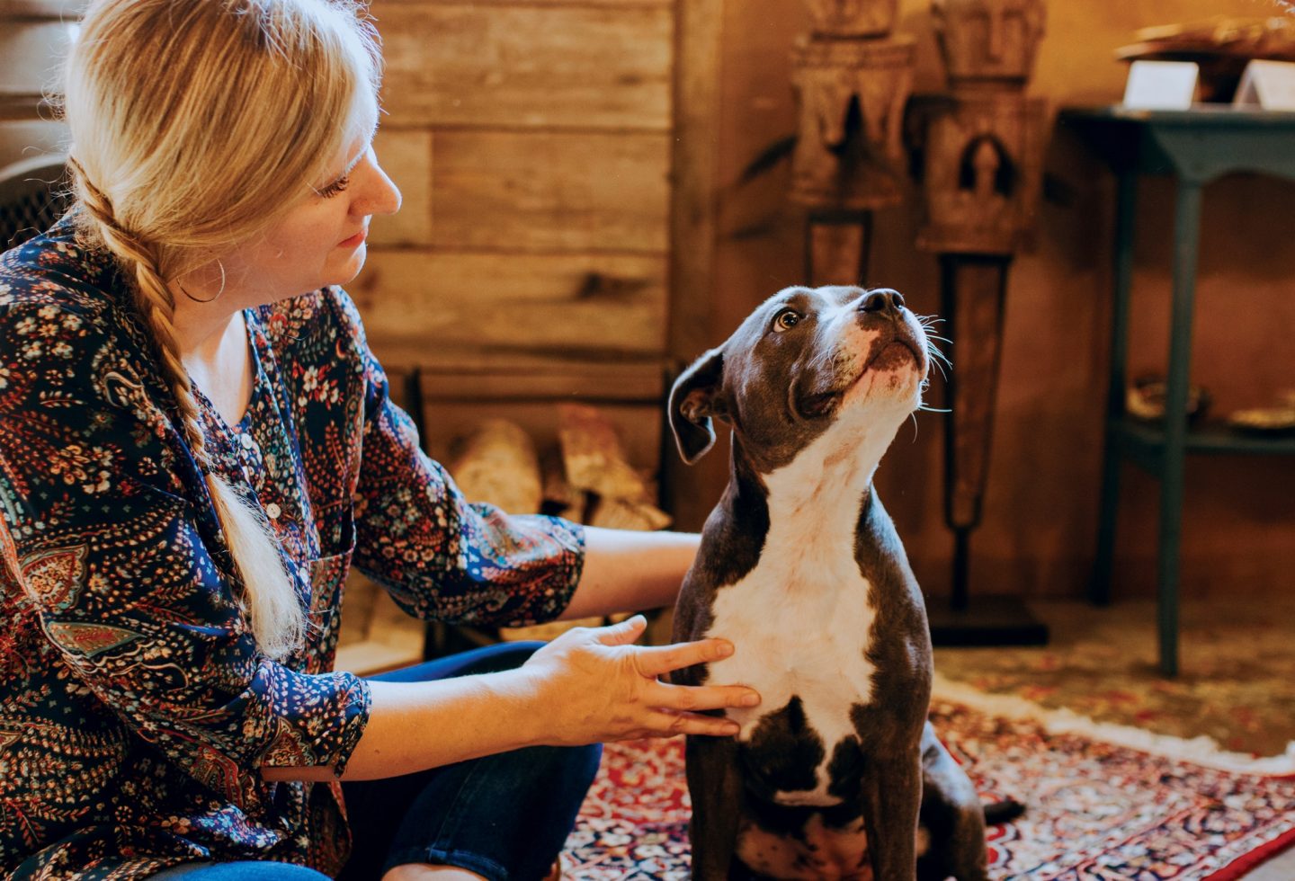 Dog Reiki: The Antidote to Dog Anxiety?