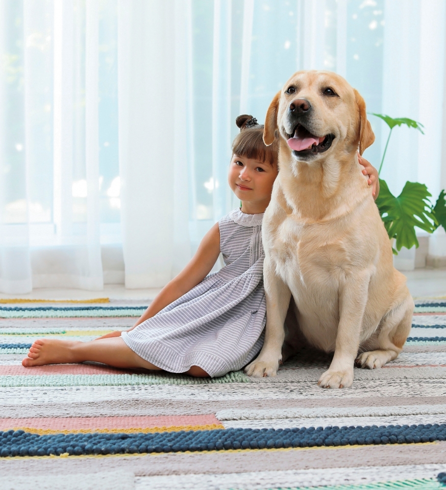 Three Steps to Groom Your Pet with Love