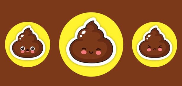 50 Shades of Brown: A Comprehensive Guide to Dog Poop