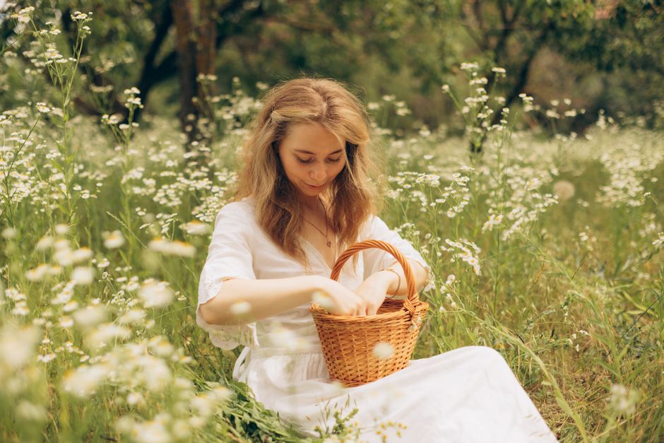 A woman in a white dress sits with a wicker basket in a meadow filled with chamomile flowers, enjoying spring.