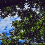 Best Hoodies Made in Canada (Skip the Knockoffs)