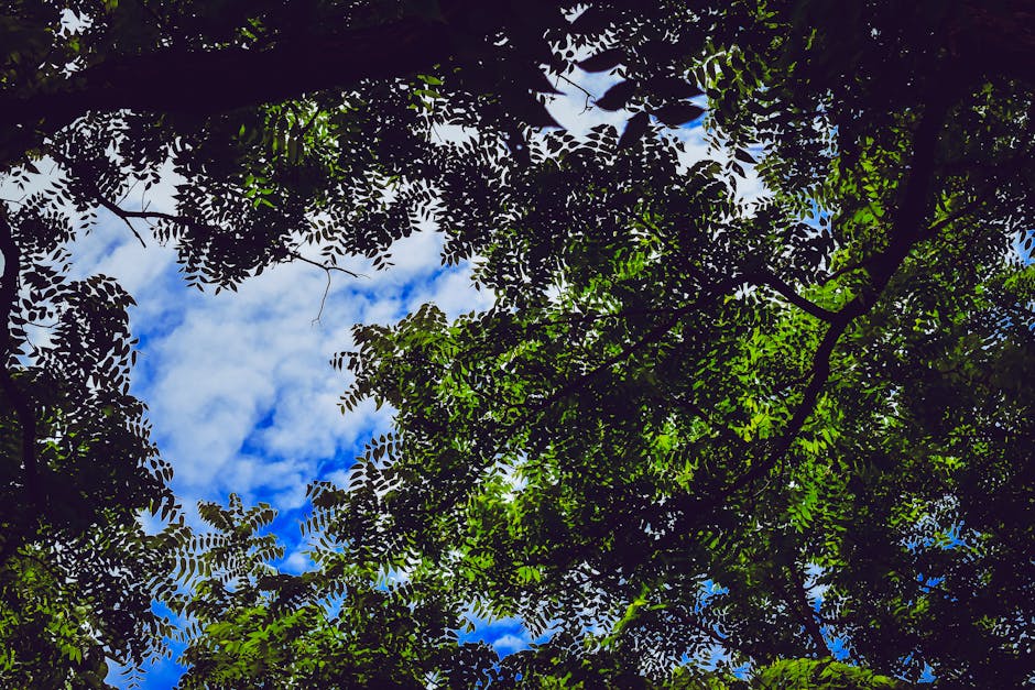 Best Hoodies Made in Canada (Skip the Knockoffs)